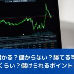 FXは儲かる？儲からない？勝てる可能性はどのくらい？儲けられるポイントとは？